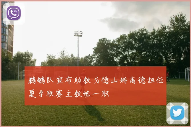 鹈鹕队宣布助教戈德山姆高德担任夏季联赛主教练一职