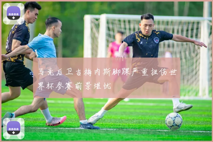 马竞后卫吉梅内斯脚踝严重扭伤世界杯参赛前景堪忧